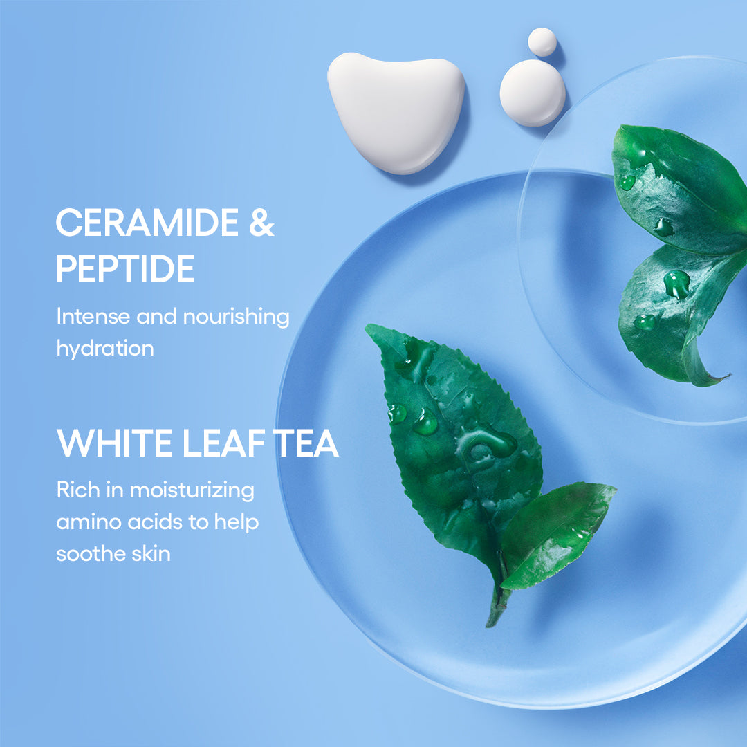 Cream Skin Mist Duo - Image 7