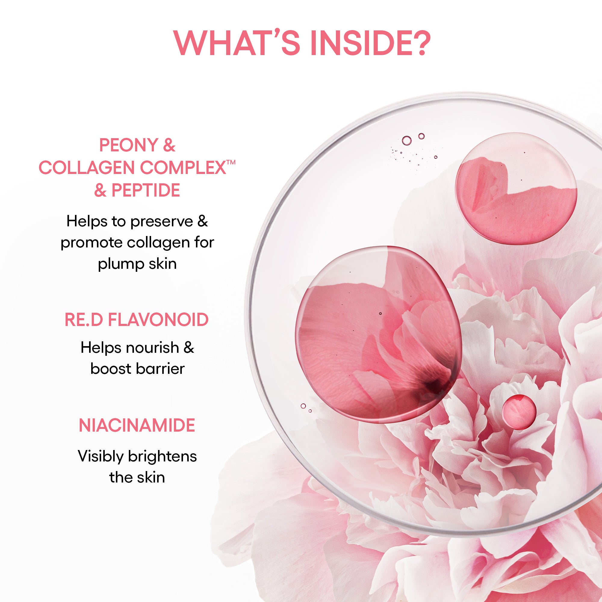 Free Bouncy u0026 Firm Serum - Image 6